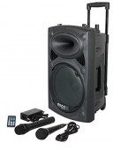 Boxa portabila Ibiza Sound 10",500W,12V,220W-2 microfoane 